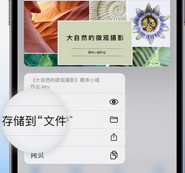 唐山apple维修中心分享iPhone文件应用中存储和找到下载文件