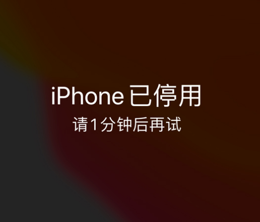 唐山苹果手机维修分享:iPhone 显示“不可用”或“已停用”怎么办？还能保留数据吗？ 