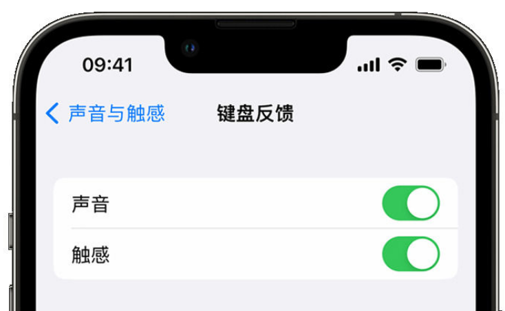 唐山苹果手机维修分享iPhone 14触感键盘使用方法 