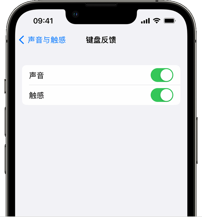 唐山苹果14维修店分享如何在 iPhone 14 机型中使用触感键盘 