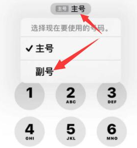 唐山苹果14维修店分享iPhone 14 Pro Max使用副卡打电话的方法 