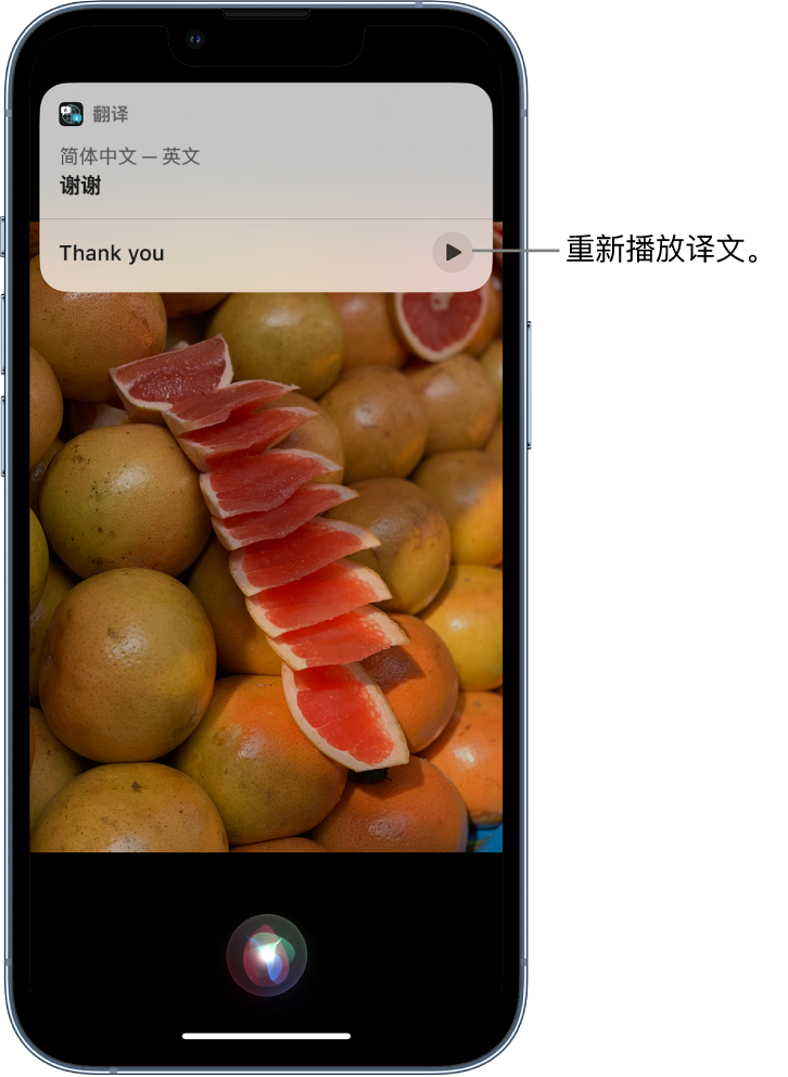 唐山苹果14维修分享 iPhone 14 机型中使用 Siri：了解 Siri 能帮你做什么 