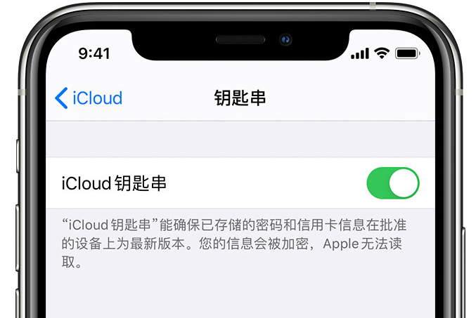 唐山苹果手机维修分享在 iPhone 上开启 iCloud 钥匙串之后会储存哪些信息 