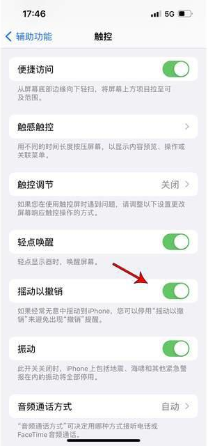 唐山苹果手机维修分享iPhone手机如何设置摇一摇删除文字 