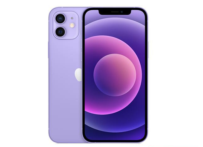 唐山苹果手机维修分享现阶段要不要入手紫色版iPhone12 